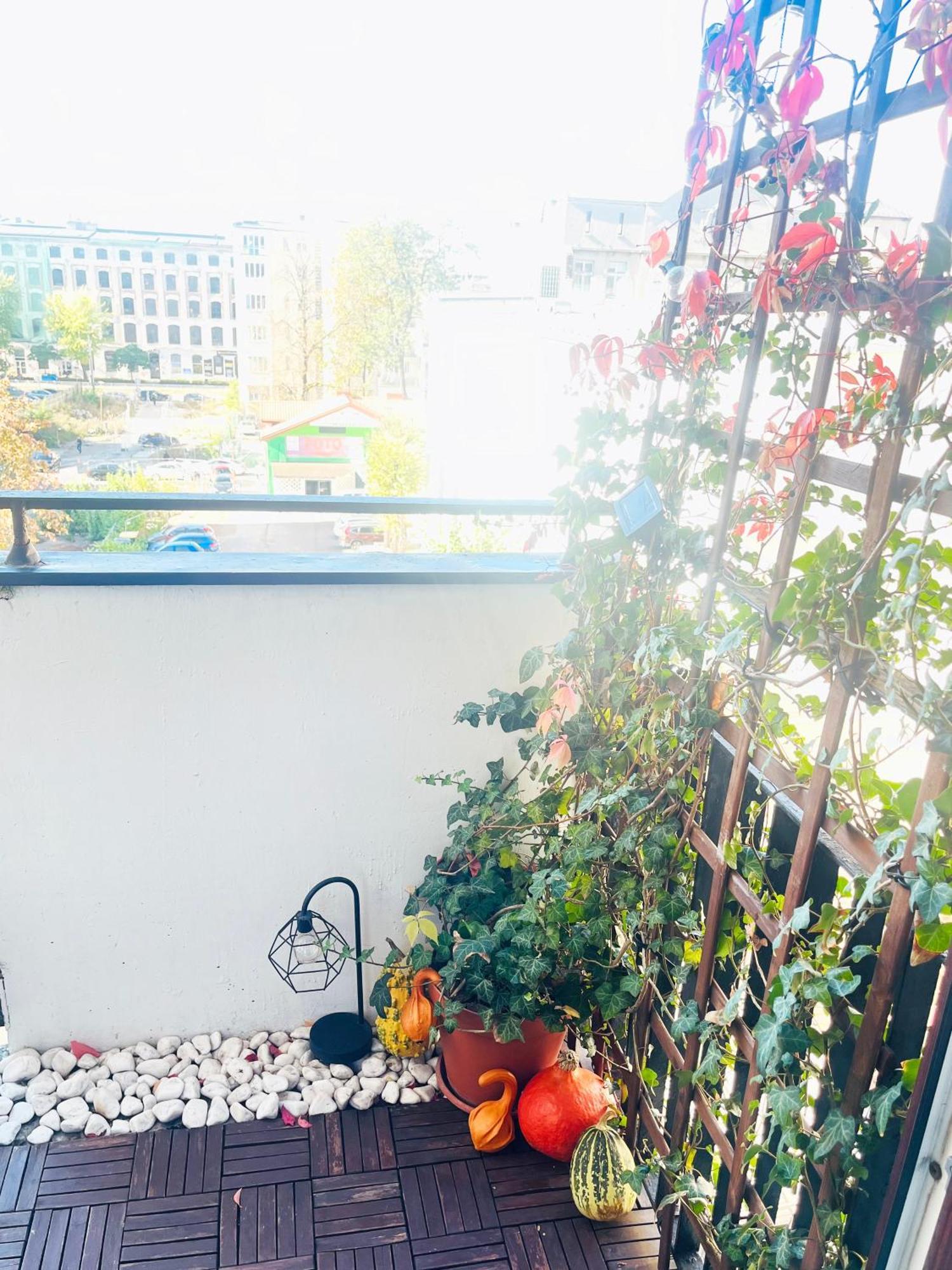 Apartament I Love Piotrkowska Z Wielkim Lustrem, Balkonem I Klimatyzacja Łódź Esterno foto